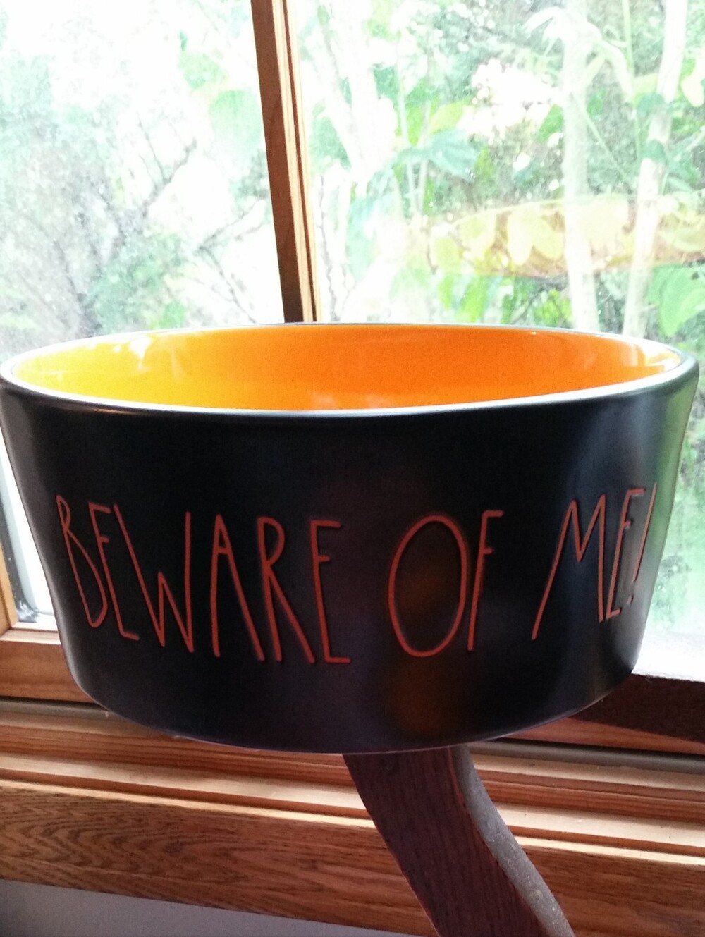 Rae Dunn Ceramic 8" BEWARE OF ME Bowl